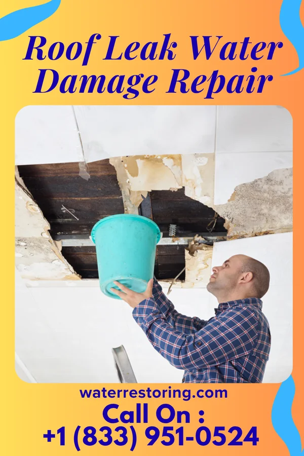 Roof Leak Water Damage Repair in McCutchenville, OH