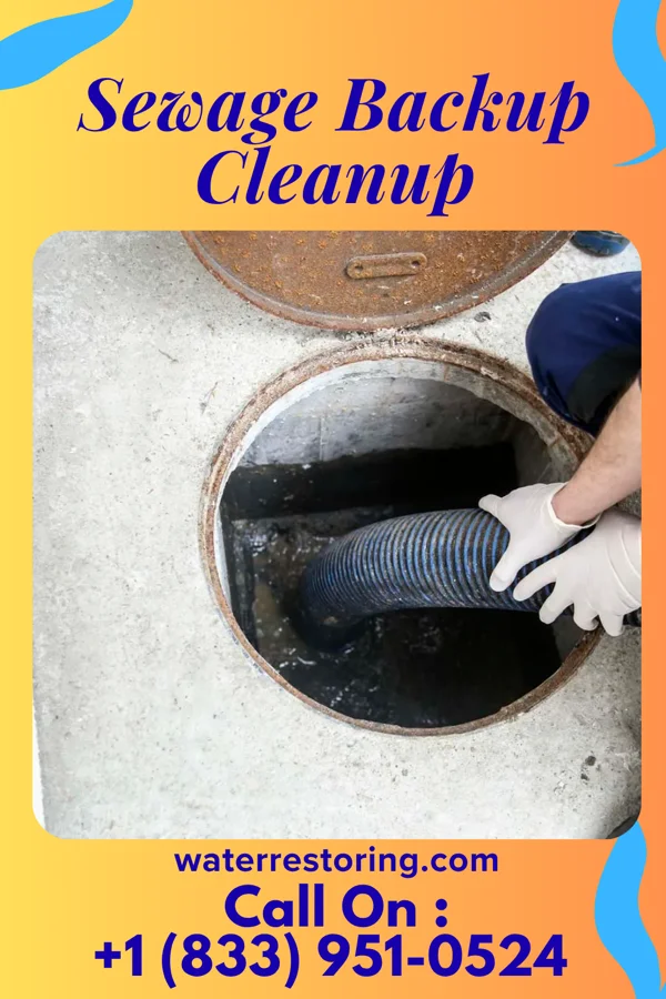 Sewage Backup Cleanup in McCutchenville, OH