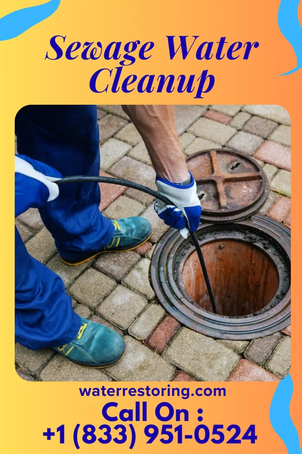 Sewage Water Cleanup in McCutchenville, OH